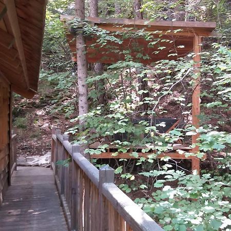 Les Cabanes Des Pins Sylvestres Saint-Martin-Vésubie Eksteriør bilde